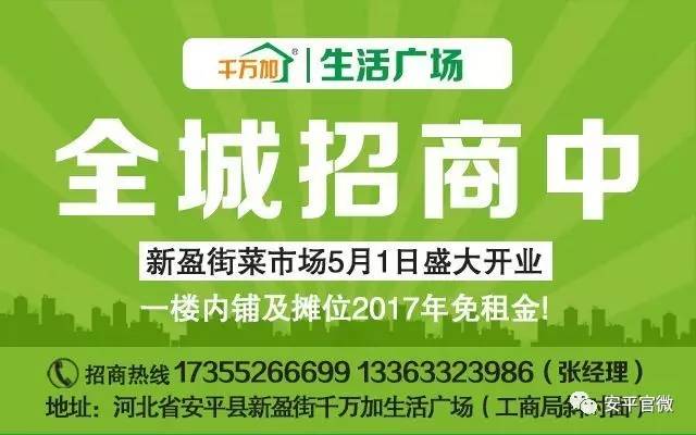 东明县人力资源和社会保障局最新招聘全面解析