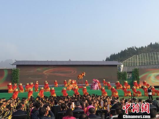 道真仡佬族苗族自治县市场监督管理局新项目助力地方经济高质量发展