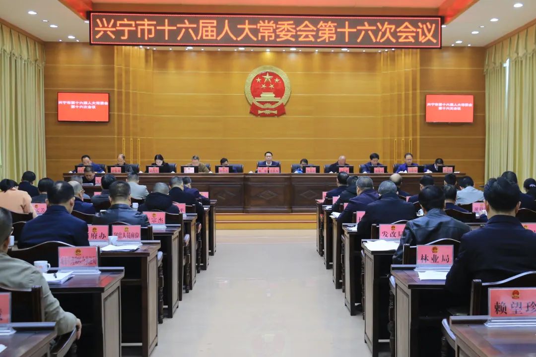 兴宁区人民政府办公室人事任命新成员，推动高效政务体系与区域发展进程