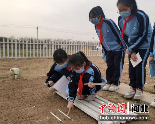 海兴县教育局最新动态报道