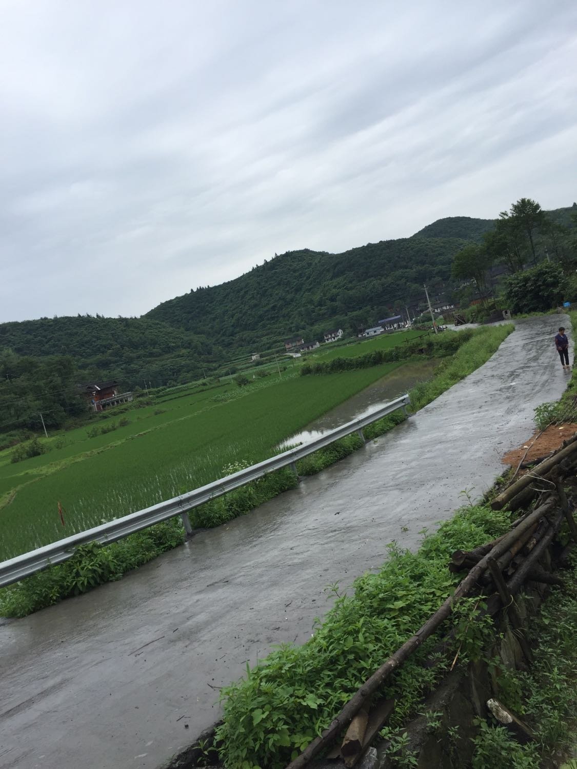 洞溪乡天气预报更新通知