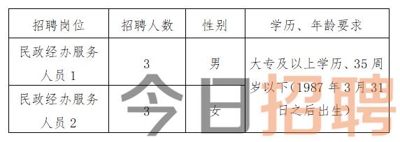 黎平县数据和政务服务局招聘公告详解