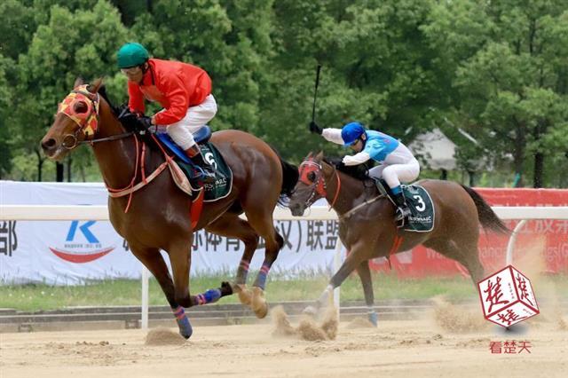 双马村天气预报更新通知